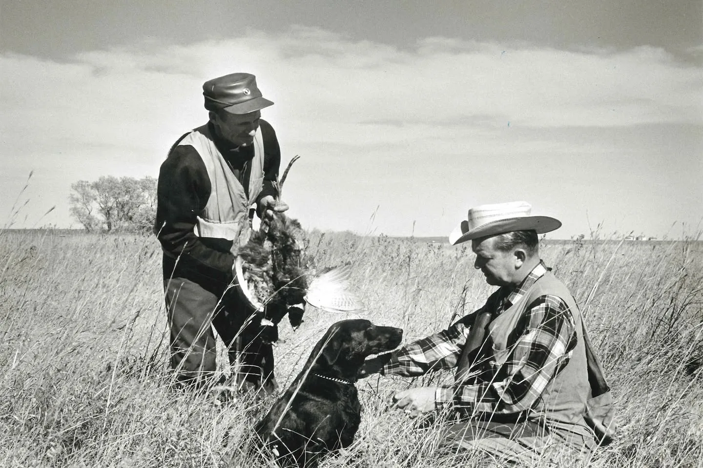 Vintage pheasant hunt with a retriever on the prairie