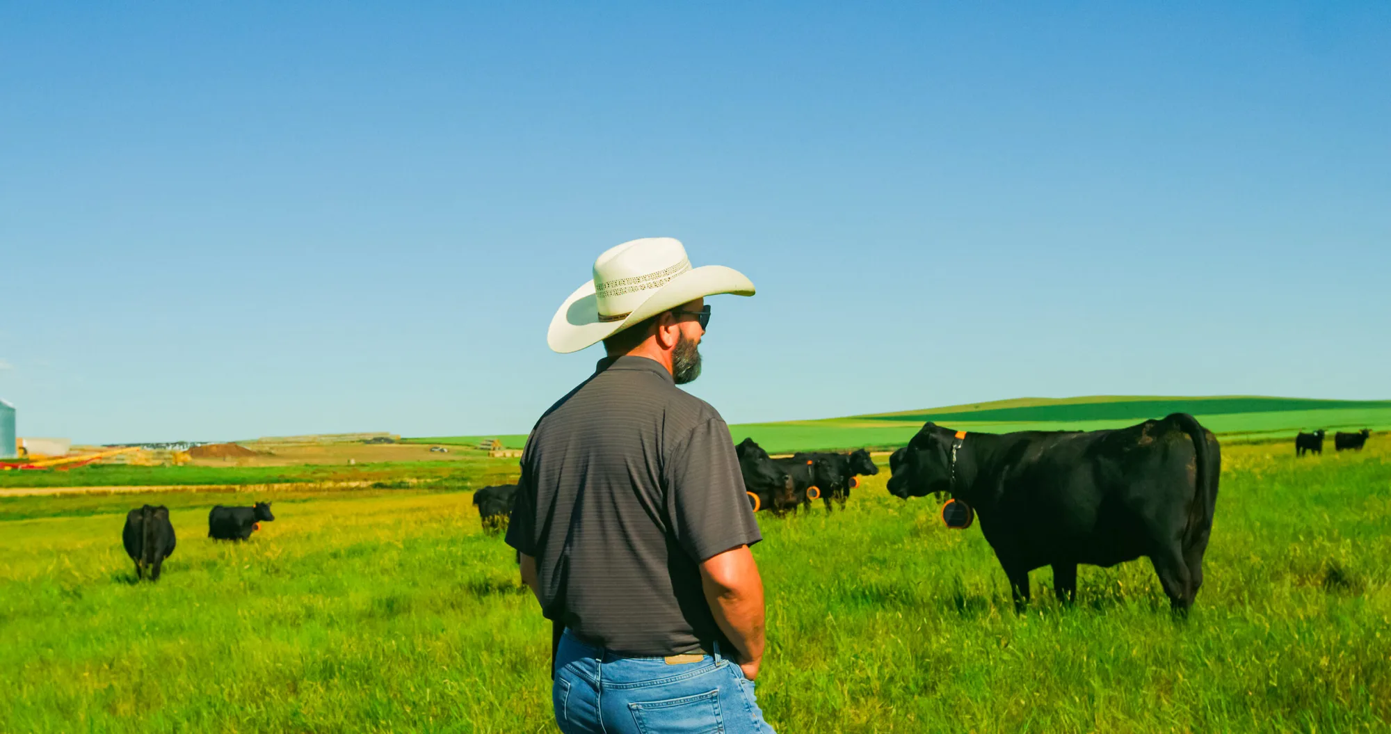 Ranch land and cattle operations