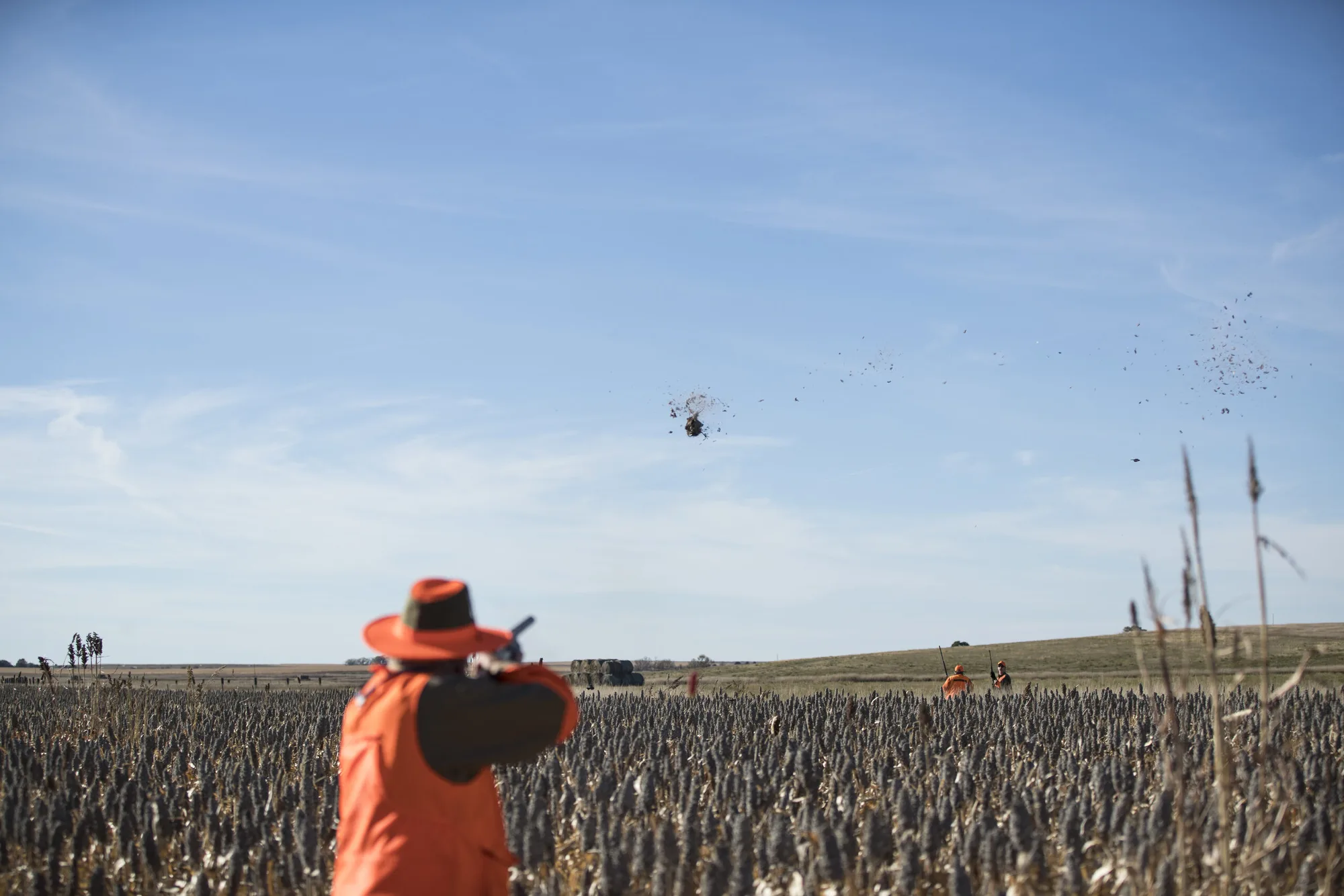 Hunter taking aim as a bird breaks across the South Dakota sky