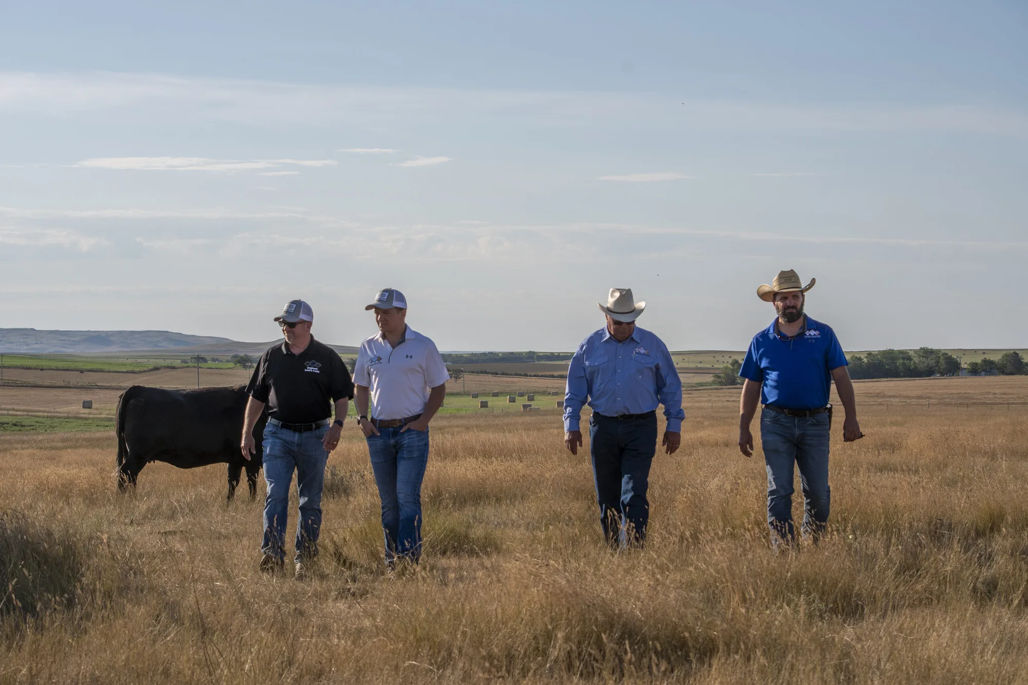 Working Ranch