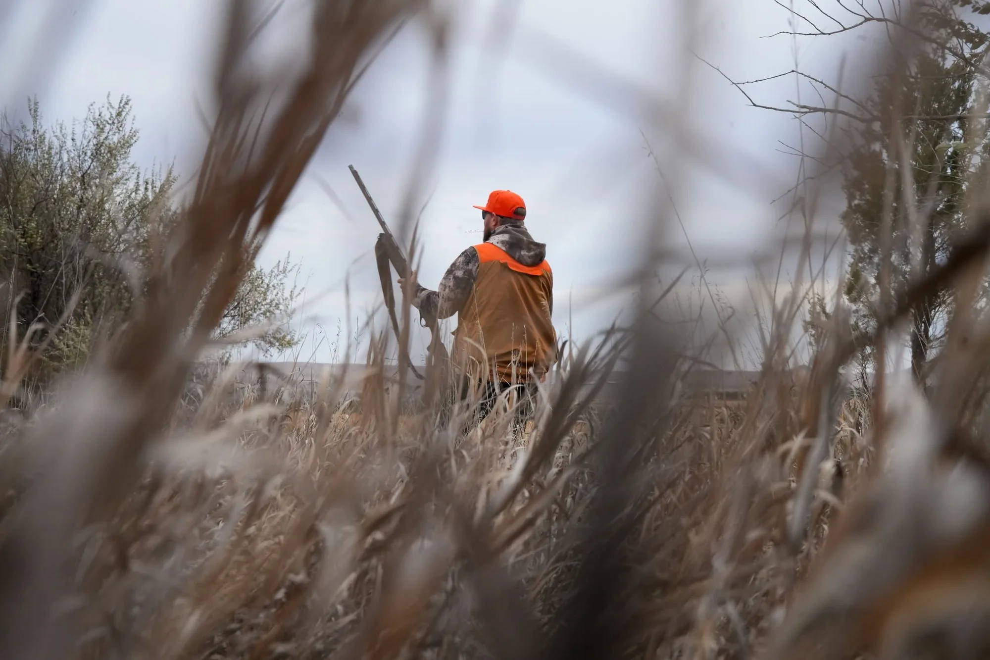Hunter in blaze orange walking through tall prairie grass