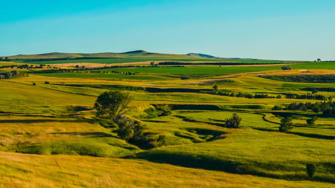 Aerial view of lush rolling green prairie